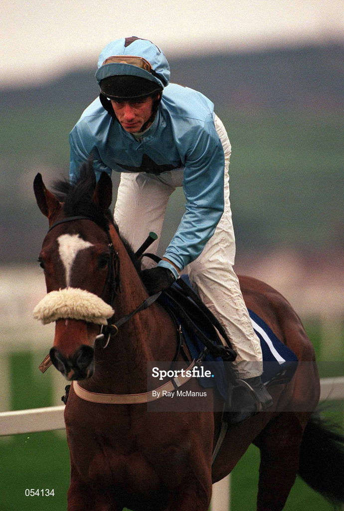 26 December 2000; Pittsburgh Phil, with Tom Rudd, canters to the start ahead of the Denny Juvenile Hurdle during Day 1 of the Leopardstown Christmas Festival at Leopardstown Racecourse in Dublin. Photo by Ray McManus/Sportsfile