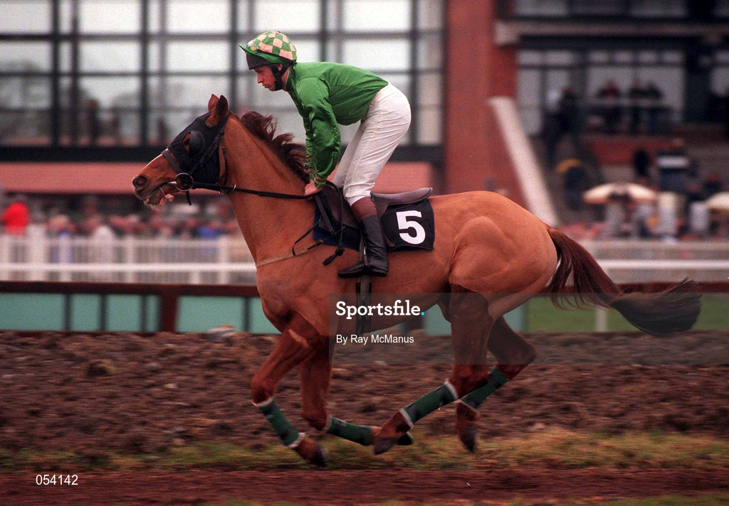 16 January 2000; Vitus, with Gareth Cotter up, canters to the start of the Teal Extended Handicap Hurdle at Fairyhouse Racecourse in Meath. Photo by Ray McManus/Sportsfile