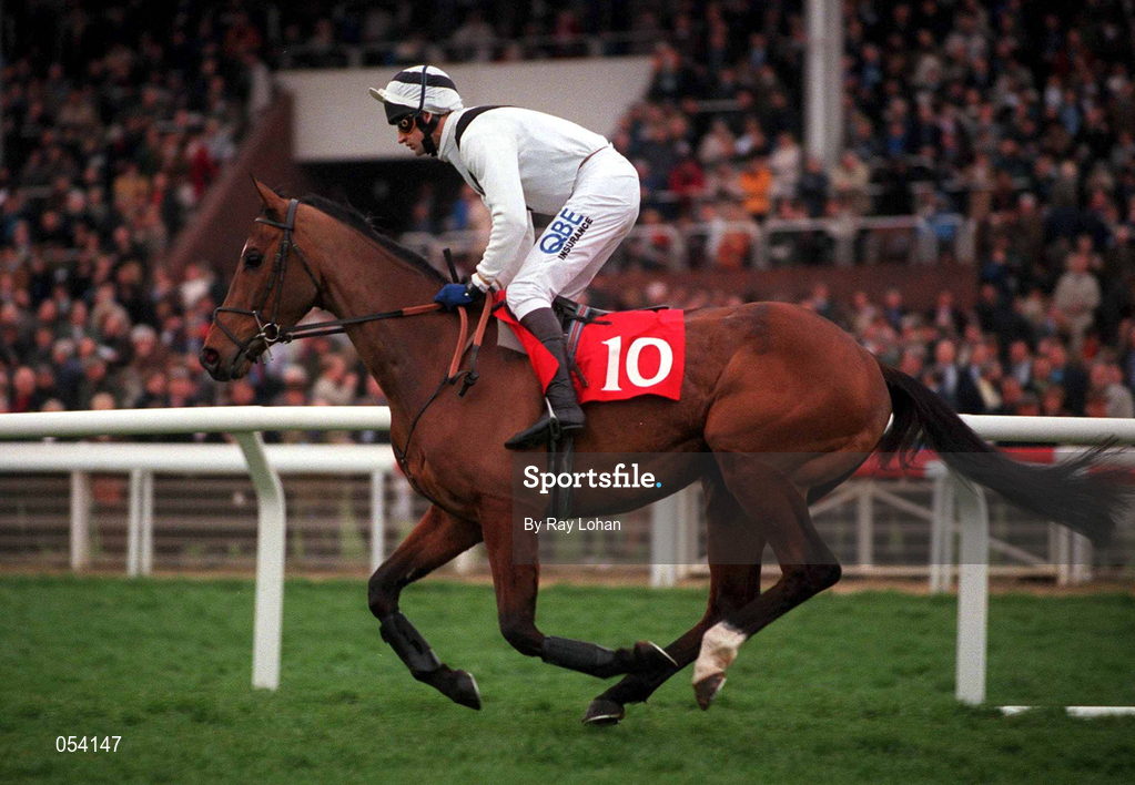 16 March 2000; Young Spartacus, with Andrew Thornto up, canters to the start of the Cathcart Challenge Cup Chase on Day Three of the Cheltenham Racing Festival at Prestbury Park in Cheltenham, England. Photo by Ray Lohan/Sportsfile
