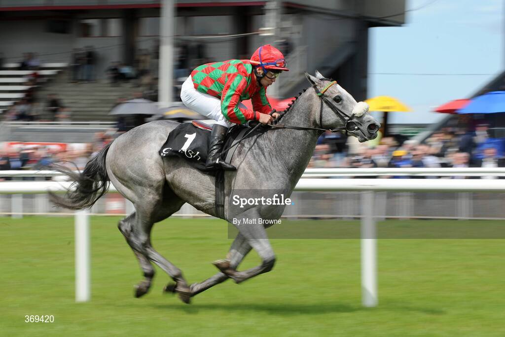 26 July 2009; Arctic with Pat Shanahan up goes on to win the Grangecon Stud Stakes. Curragh Racecourse, Co. Kildare. Picture credit: Matt Browne / SPORTSFILE