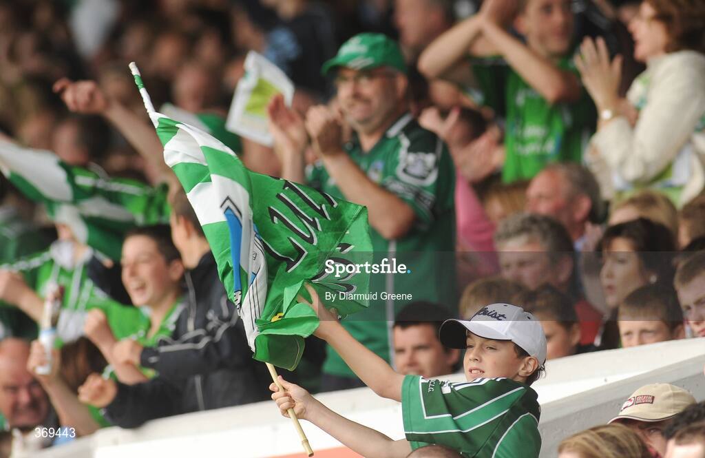 26 July 2009; Limerick supporters celebrate a score during the game. GAA All-Ireland Senior Hurling Championship Quarter-Final, Dublin v Limerick, Semple Stadium, Thurles, Co. Tipperary. Picture credit: Diarmuid Greene / SPORTSFILE