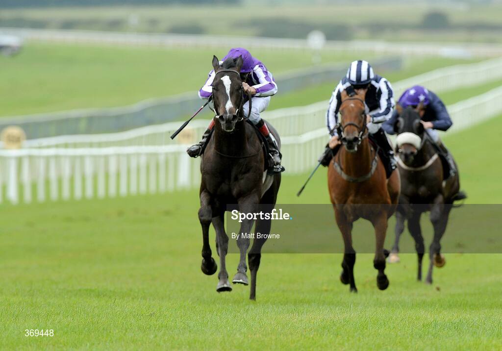 26 July 2009; Alfred Nobel with Johnny Murtagh up on the way to winning the Camas Park And Ashtown House Stud Phoenix Stakes. Curragh Racecourse, Co. Kildare. Picture credit: Matt Browne / SPORTSFILE