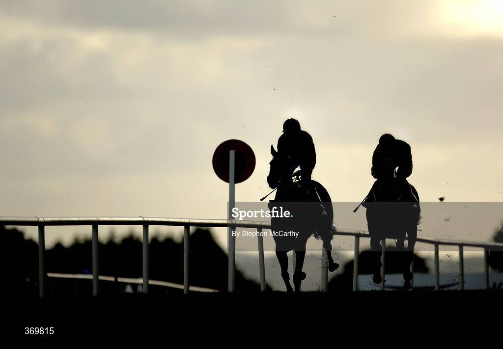 27 July 2009; A general view of Tellelle, with Danny Mullins up, winning the Claregalwayhotel.ie Hotel Handicap. Galway Racing Festival, Ballybrit, Galway. Picture credit: Stephen McCarthy / SPORTSFILE