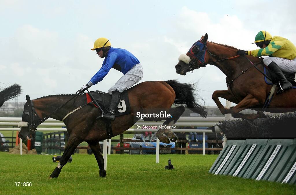 27 July 2009; Gratified, with Denis O'Regan up, jumps ahead of Wikaala, with Barry Geraghty up, during the Ghotel.ie & Hotelmeyrick.ie Novice Hurdle. Galway Racing Festival, Ballybrit, Galway. Picture credit: Stephen McCarthy / SPORTSFILE