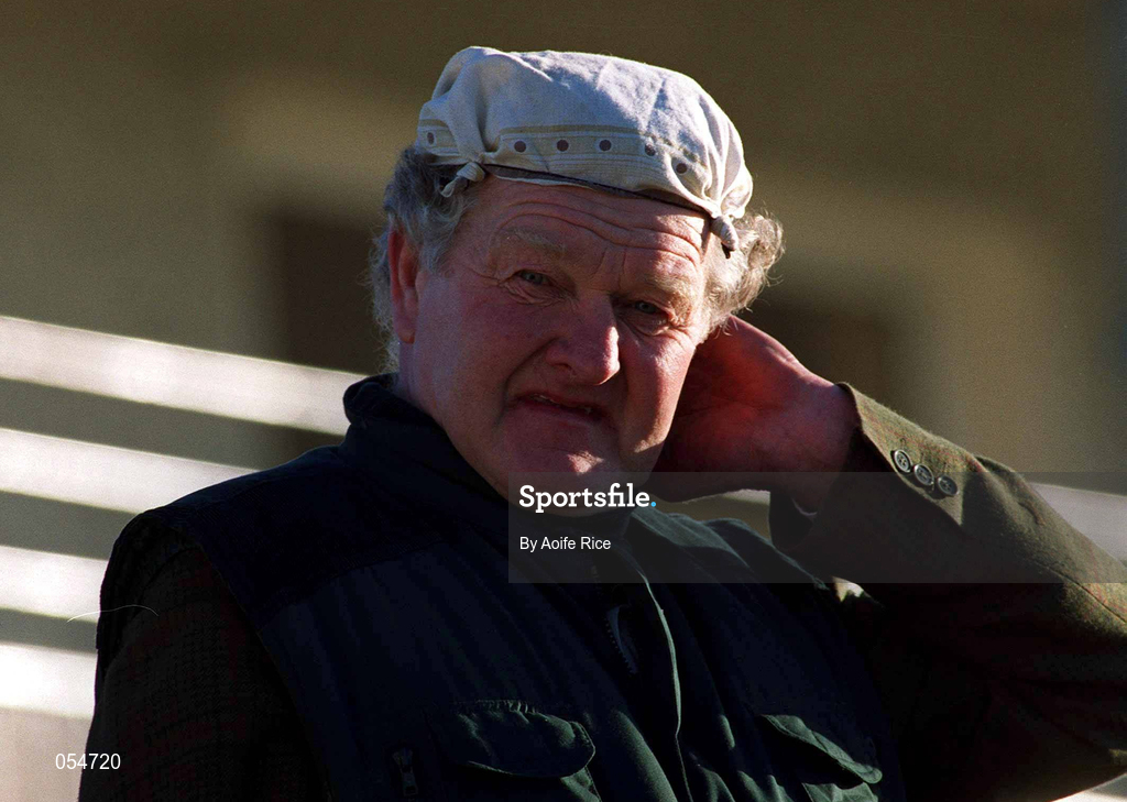 14 January 2001; A supporter watches on during the O'Byrne Cup First Round match between Longford and Laois at Pearse Park in Longford. Photo by Aoife Rice/Sportsfile