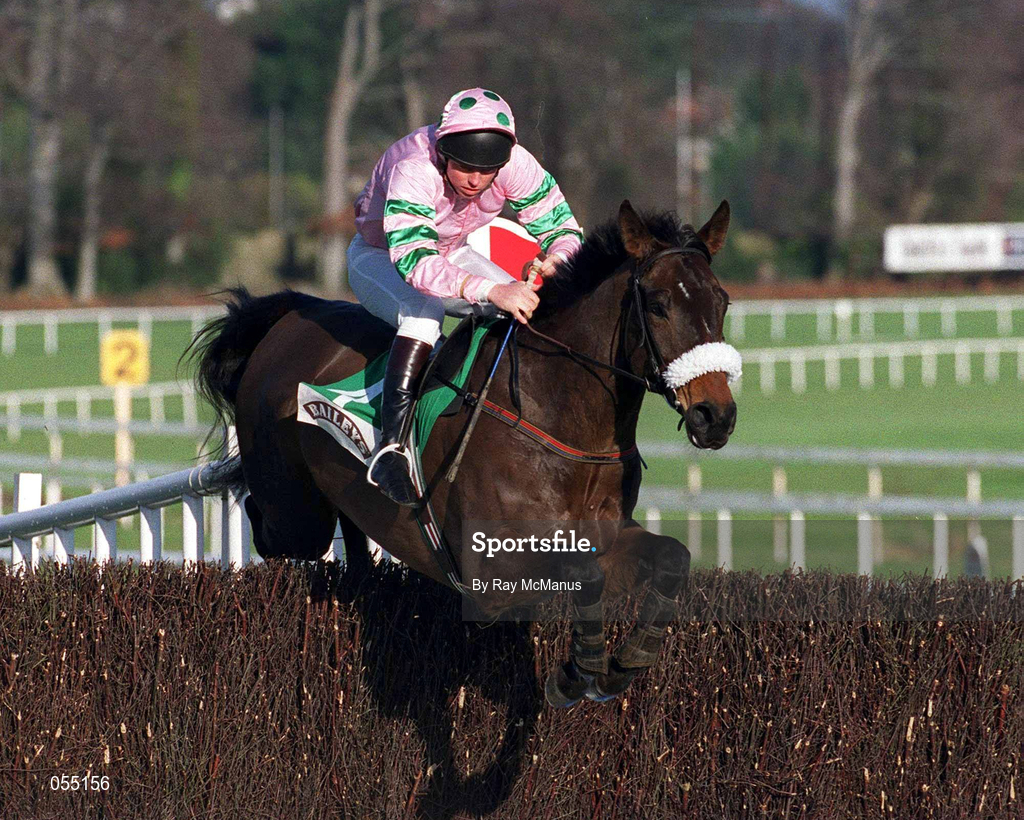 21 January 2001; Brown Buck, with Barry Cash up, jumps the last during The Bailey's Arkle Perpetual Challenge Cup Novice Steeplechase at Leopardstown Racecourse in Dublin. Photo by Ray McManus/Sportsfile