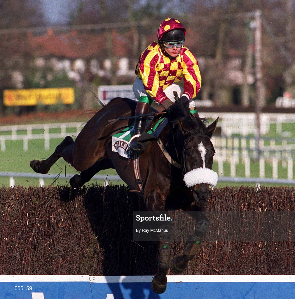 21 January 2001;  Ross Moff, with Adrian Maguire up, jumps the last to go on and win The Bailey's Arkle Perpetual Challenge Cup Novice Steeplechase at Leopardstown Racecourse in Dublin. Photo by Ray McManus/Sportsfile