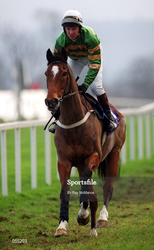 21 January 2001; Istabraq, with Charlie Swan up, canters to the start at Leopardstown Racecourse in Dublin. Photo by Ray McManus/Sportsfile