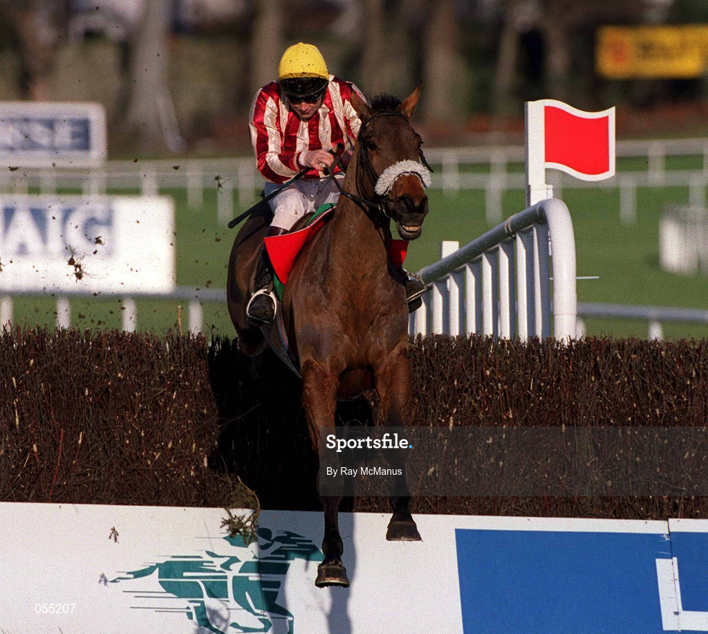 21 January 2001; Well Ridden, with Conor O'Dwyer up, jumps the last to go on and win The Bailey's Arkle Perpetual Challenge Cup Novice Steeplechase at Leopardstown Racecourse in Dublin. Photo by Ray McManus/Sportsfile