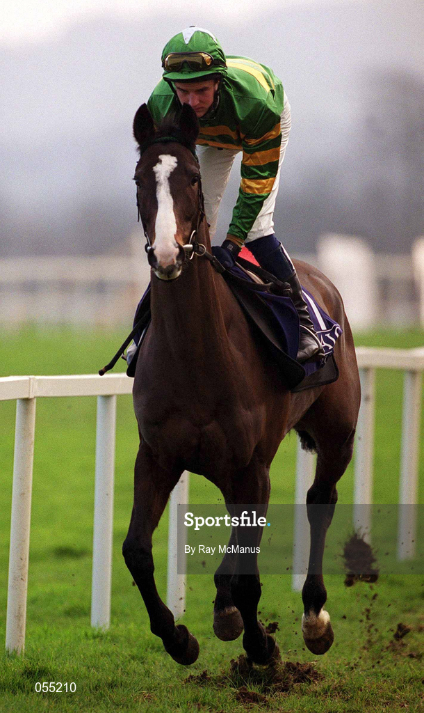 21 January 2001; Aerleon Pete, with Francis Berry up, canters to the start at Leopardstown Racecourse in Dublin. Photo by Ray McManus/Sportsfile