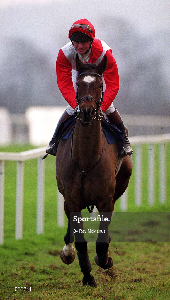 21 January 2001; Have Merci, with Paul Moloney up, canters to the start at Leopardstown Racecourse in Dublin. Photo by Ray McManus/Sportsfile