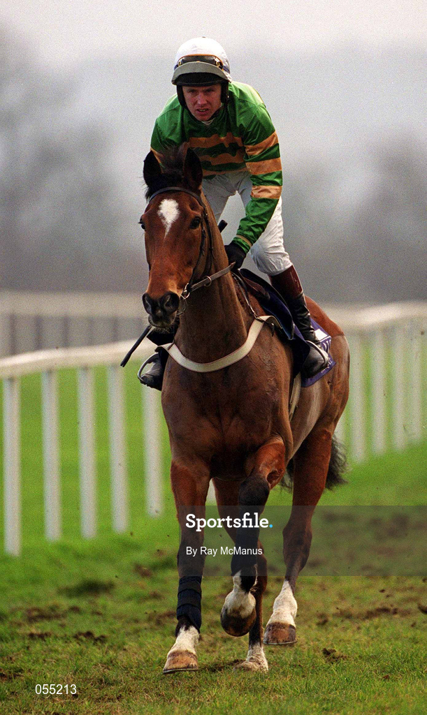 21 January 2001; Istabraq, with Charlie Swan up, canters to the start at Leopardstown Racecourse in Dublin. Photo by Ray McManus/Sportsfile