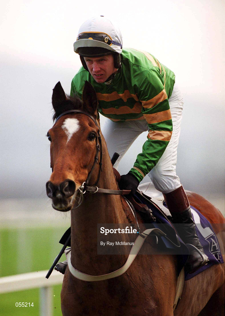 21 January 2001; Istabraq, with Charlie Swan up, canters to the start at Leopardstown Racecourse in Dublin. Photo by Ray McManus/Sportsfile