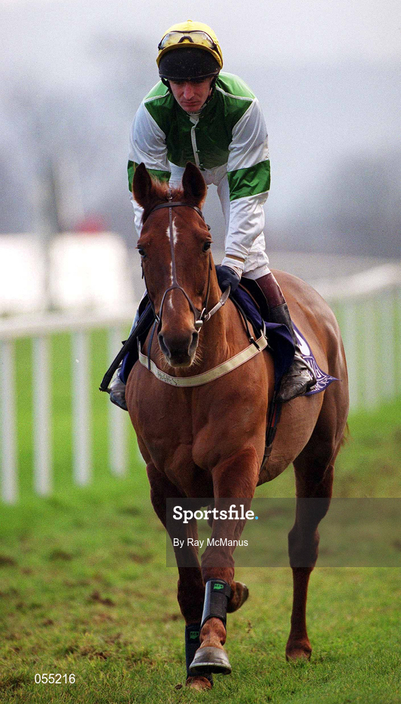 21 January 2001; Mantles Prince, with Norman Williamson up, canters to the start at Leopardstown Racecourse in Dublin. Photo by Ray McManus/Sportsfile