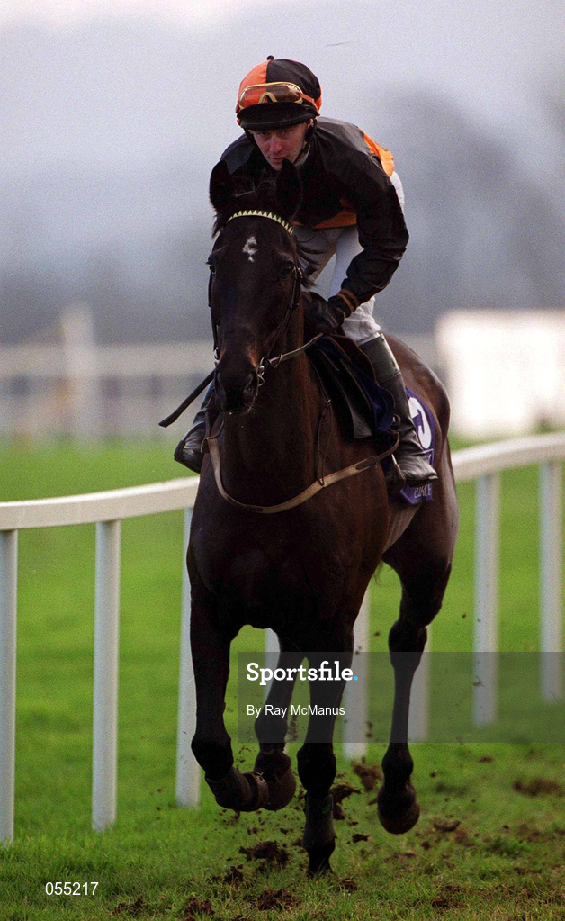 21 January 2001; Penny Rich, with David Casey up, canters to the start at Leopardstown Racecourse in Dublin. Photo by Ray McManus/Sportsfile