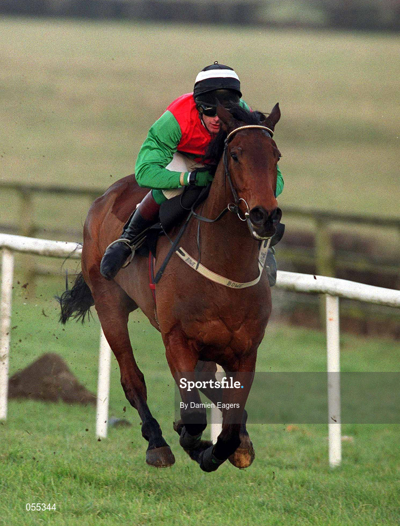 27 January 2001; Limestone Lad, with Shane McGovern up, on their way to win The Bank Of Ireland Hurdle at Fairyhouse Racecourse in Ratoath, Meath. Photo by Damien Eagers/Sportsfile