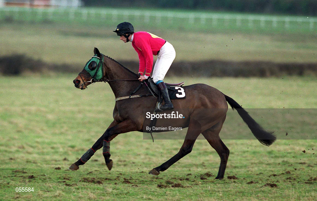 27 January 2001; Meet and Greet, with Ruby Walsh up, canters to the start at Fairyhouse Racecourse in Ratoath, Meath. Photo by Damien Eagers/Sportsfile