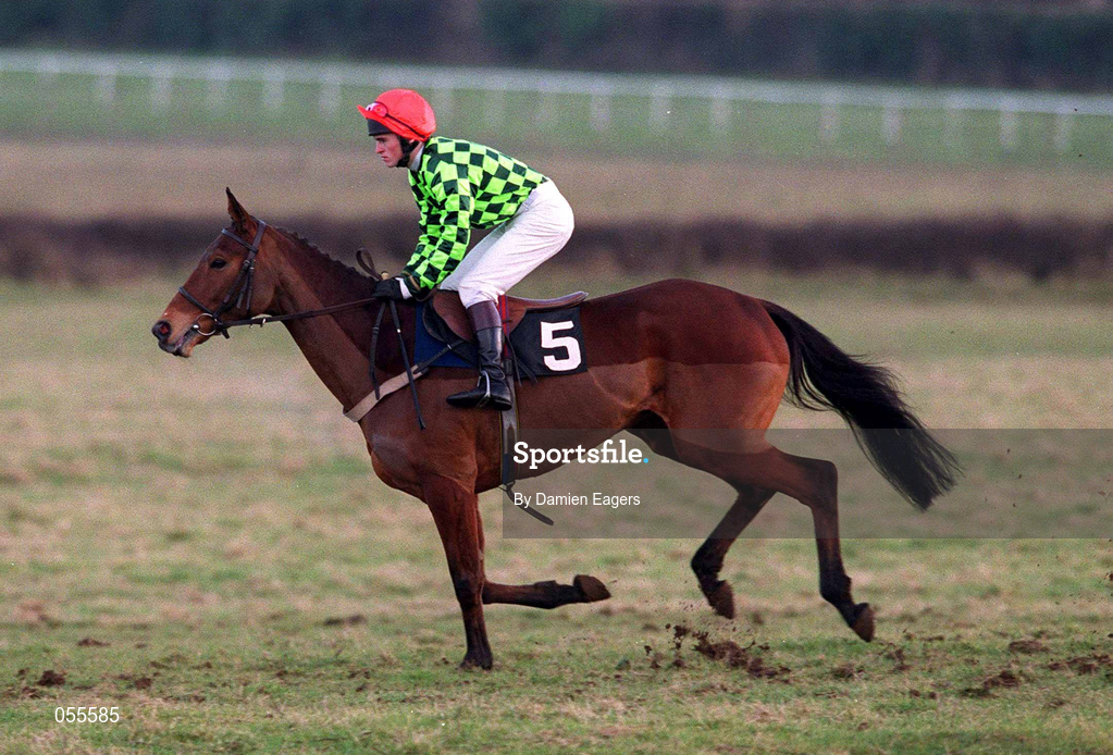 27 January 2001; Wicked Crack, with Joseph Casey up, canters to the start at Fairyhouse Racecourse in Ratoath, Meath. Photo by Damien Eagers/Sportsfile