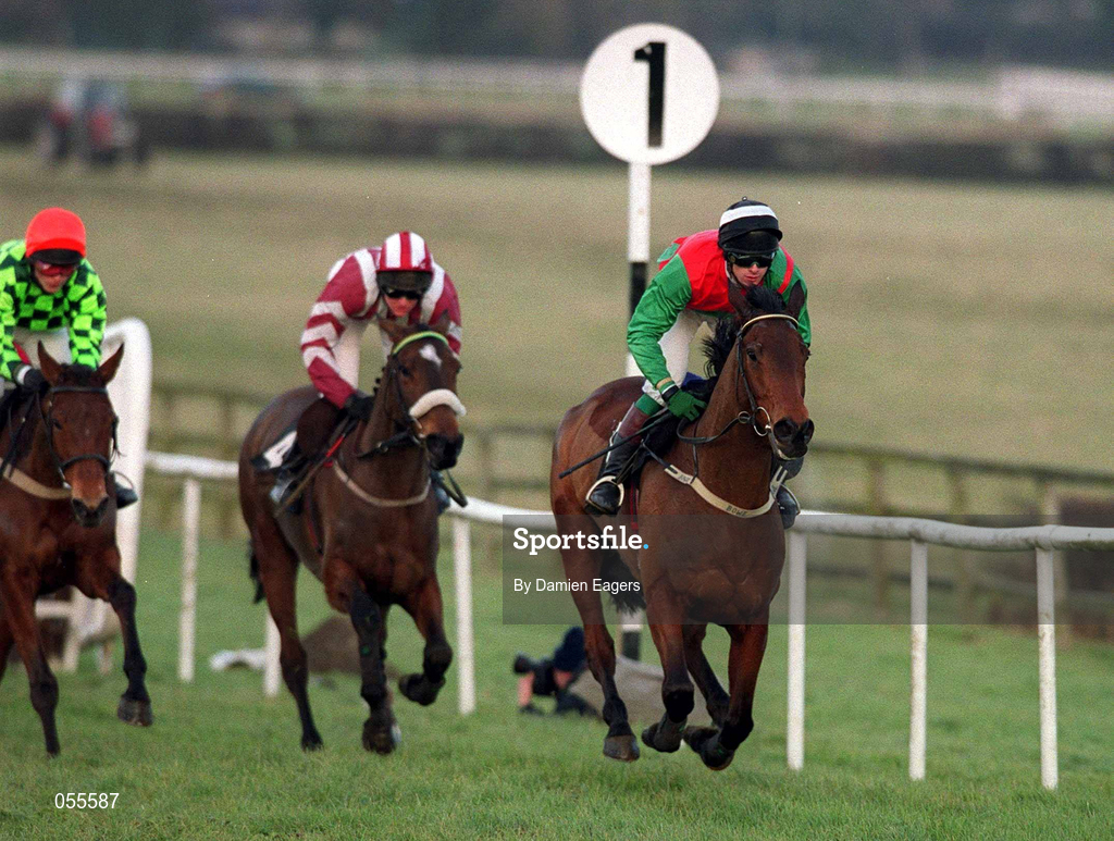 27 January 2001; Limestone Lad, with Shane McGovern up, leads the field first time around during The Bank Of Ireland Hurdle at Fairyhouse Racecourse in Ratoath, Meath. Photo by Damien Eagers/Sportsfile