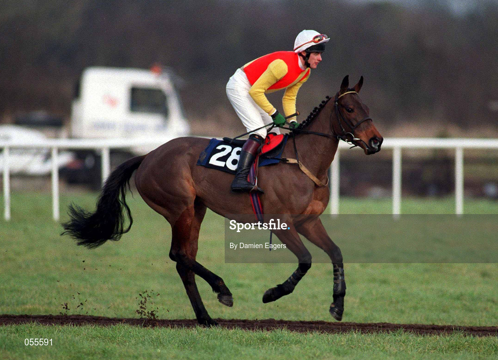 27 January 2001; Leapogues Lady, with Shane McGovern up, canters to the start at Fairyhouse Racecourse in Ratoath, Meath. Photo by Damien Eagers/Sportsfile