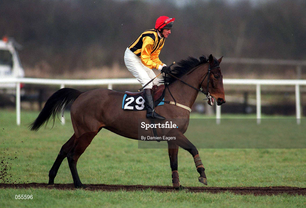 28 January 2001; Q Bar, with Ken Whelan up, canters to the start at Fairyhouse Racecourse in Ratoath, Meath. Photo by Damien Eagers/Sportsfile