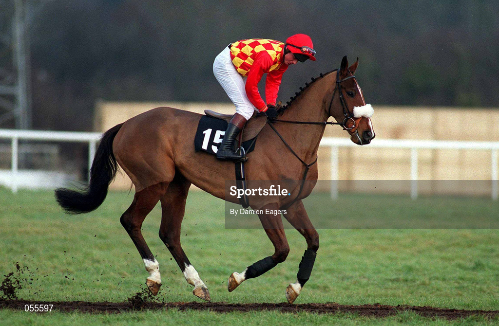 28 January 2001; IIaron, with Paul Moloney up, canters to the start at Fairyhouse Racecourse in Ratoath, Meath. Photo by Damien Eagers/Sportsfile