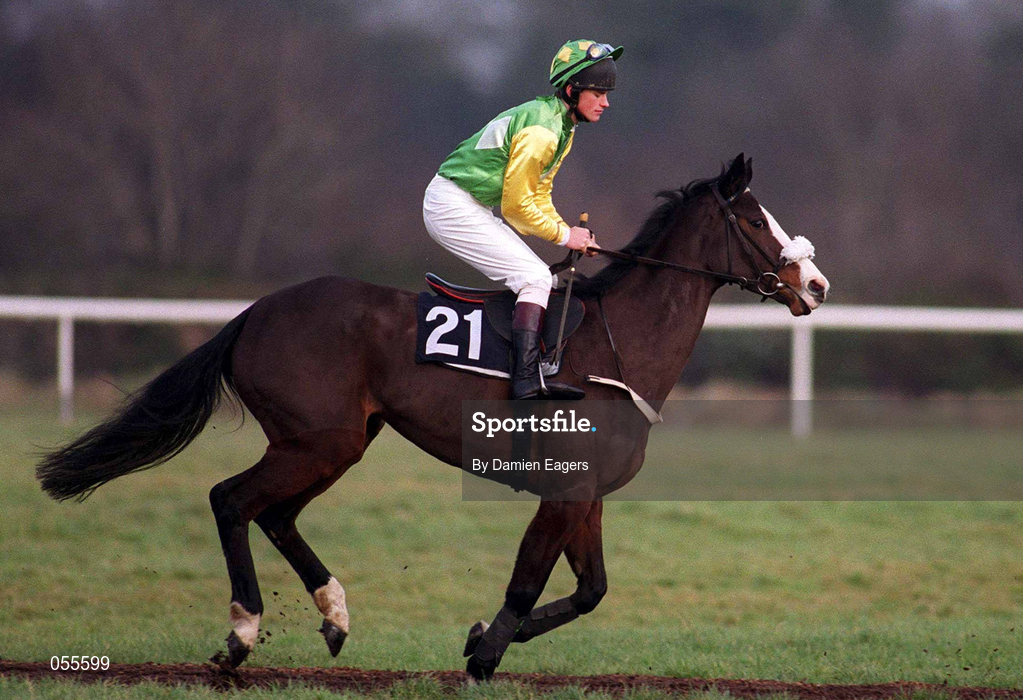 28 January 2001; Lady Domitor, with Paul Carberry up, canters to the start at Fairyhouse Racecourse in Ratoath, Meath. Photo by Damien Eagers/Sportsfile