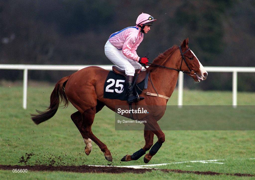 28 January 2001; Wisp of Smoke, with Steven Curtis up, canters to the start at Fairyhouse Racecourse in Ratoath, Meath. Photo by Damien Eagers/Sportsfile
