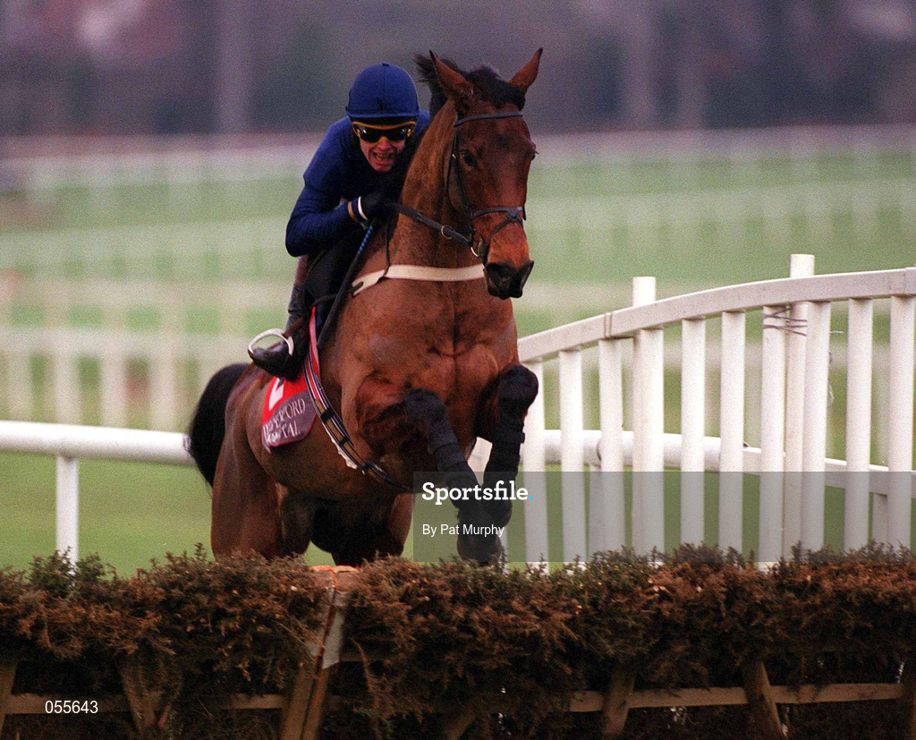 21 January 2001; Kilcash Castle, with Charlie Swan up, during The Waterford Crstal Novice Hurdle at Leopardstown Racecourse in Dublin. Photo by Pat Murphy/Sportsfile