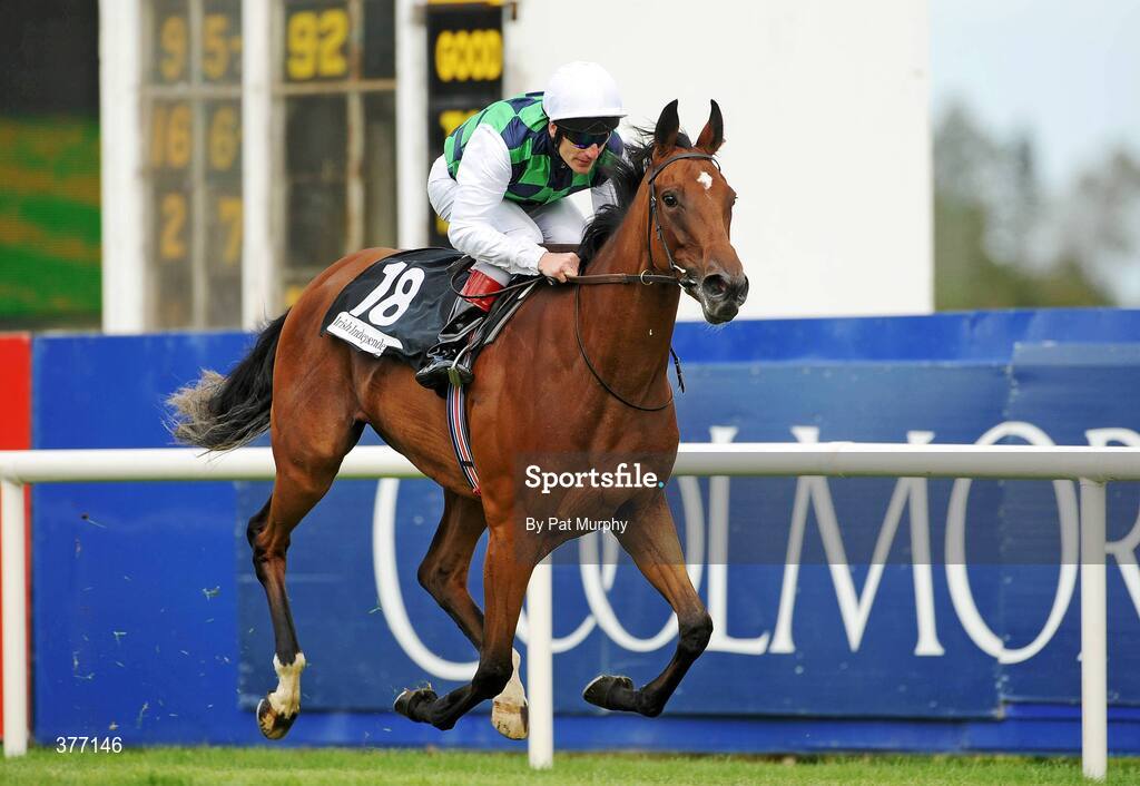 5 September 2009; You'll Be Mine, with Johnny Murtagh up, crosses the finish line to win the Irish Independent European Breeders Fund Fillies Maiden. Leopardstown Racecourse, Dublin. Picture credit: Pat Murphy / SPORTSFILE