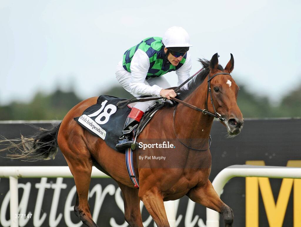 5 September 2009; You'll Be Mine, with Johnny Murtagh up, crosses the finish line to win the Irish Independent European Breeders Fund Fillies Maiden. Leopardstown Racecourse, Dublin. Picture credit: Pat Murphy / SPORTSFILE