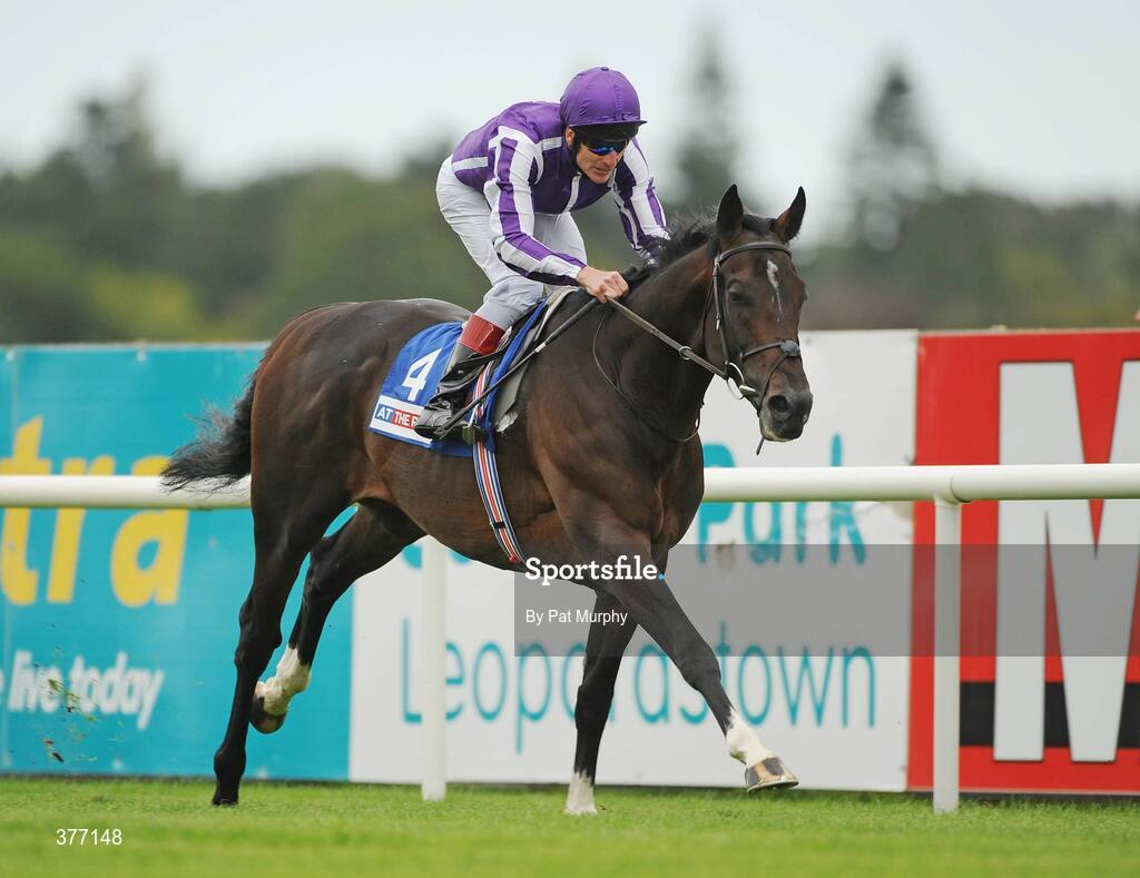 5 September 2009; Poet, with Johnny Murtagh up, crosses the finish line to win the At The Races Kilternan Stakes. Leopardstown Racecourse, Dublin. Picture credit: Pat Murphy / SPORTSFILE