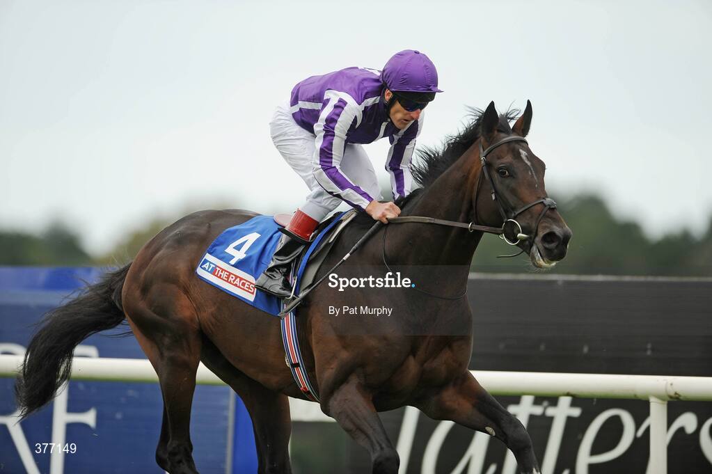 5 September 2009; Poet, with Johnny Murtagh up, crosses the finish line to win the At The Races Kilternan Stakes. Leopardstown Racecourse, Dublin. Picture credit: Pat Murphy / SPORTSFILE