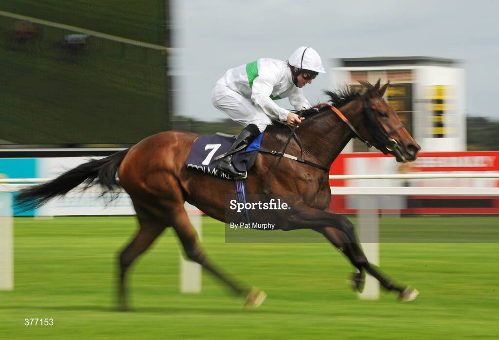 5 September 2009; Rainbow View, with Jimmy Fortune up, crosses the finish line to win the Coolmore Fusaichi Pegasus Matron Stakes. Leopardstown Racecourse, Dublin. Picture credit: Pat Murphy / SPORTSFILE