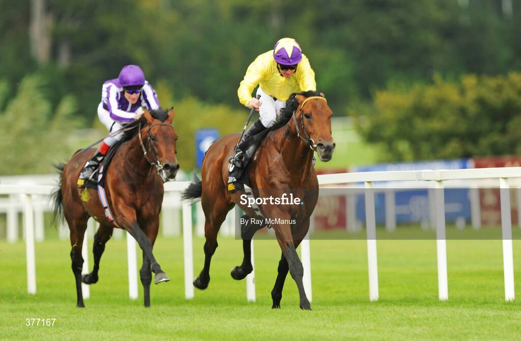 5 September 2009; Sea the Stars, with Mick Kinane up, races clear of Fame and Glory on his way winning the Tattersalls Millions Irish Champion Stakes. Leopardstown Racecourse, Dublin. Picture credit: Ray McManus / SPORTSFILE