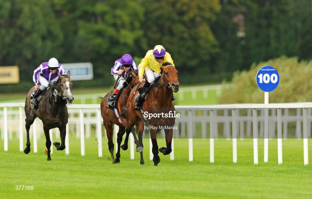 5 September 2009; Sea The Stars, with Mick Kinane up, races clear of Fame and Glory on their way to winning the Tattersalls Millions Irish Champion Stakes. Leopardstown Racecourse, Dublin. Picture credit: Ray McManus / SPORTSFILE