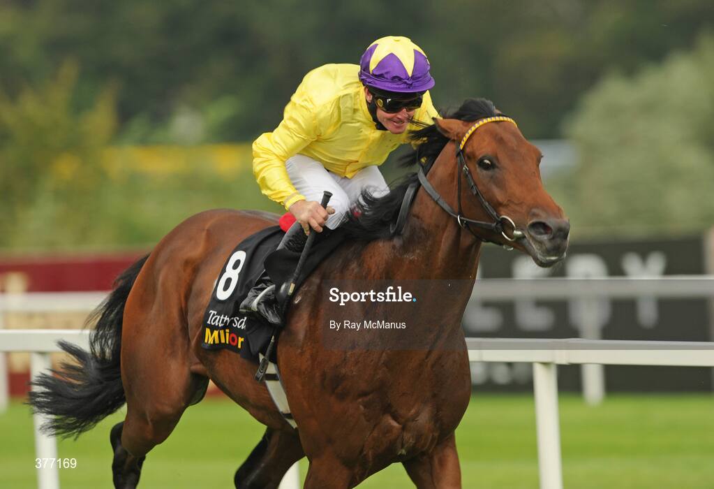 5 September 2009; Sea The Stars, with Mick Kinane up, on their way to winning the Tattersalls Millions Irish Champion Stakes. Leopardstown Racecourse, Dublin. Picture credit: Ray McManus / SPORTSFILE