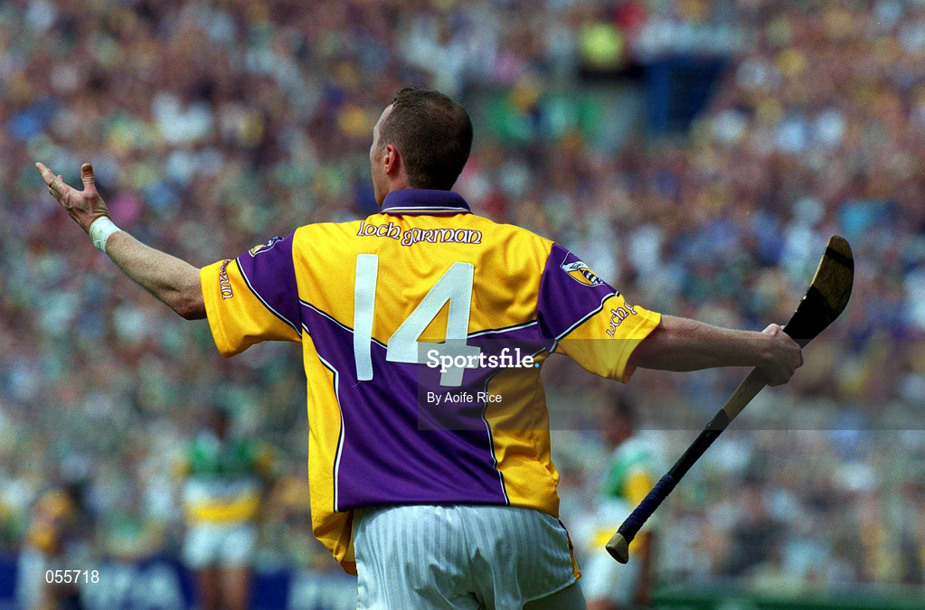 18 June 2000; Larry Murphy of Wexford during the Guinness Leinster Senior Hurling Championship Semi-Final match between Offaly and Wexford at Croke Park in Dublin. Photo by Aoife Rice/Sportsfile