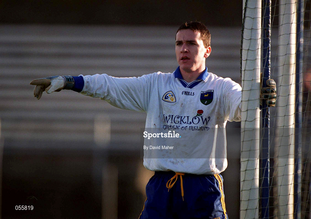 21 January 2001; Robert Hollingsworth of Wicklow during the O'Byrne Cup Quarter-Final match between Wicklow and Dublin at the County Grounds in Aughrim, Wicklow. Photo by David Maher/Sportsfile
