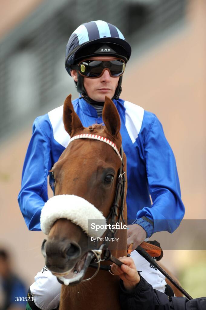 5 September 2009; Hedaaya, with Declan McDonogh up, before the Irish Independent European Breeders Fund Fillies Maiden. Leopardstown Racecourse, Dublin. Picture credit: Pat Murphy / SPORTSFILE