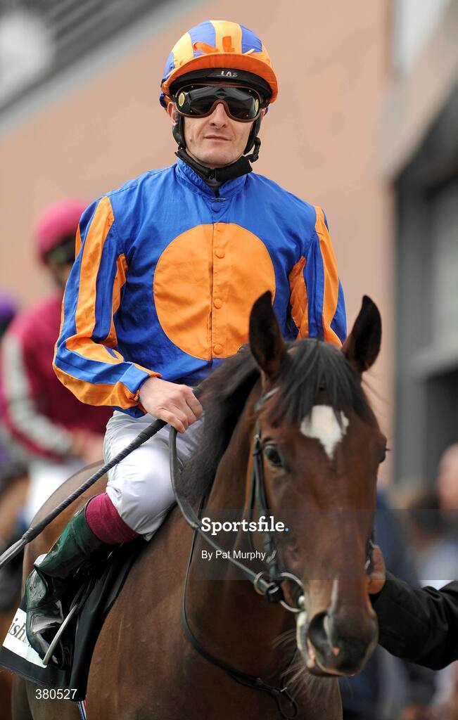 5 September 2009; Unity, with Colm O'Donoghue up, before the Irish Independent European Breeders Fund Fillies Maiden. Leopardstown Racecourse, Dublin. Picture credit: Pat Murphy / SPORTSFILE