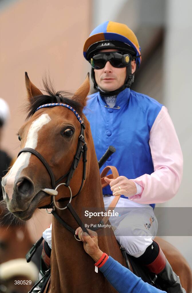 5 September 2009; Anaverna, with Pat Smullen up, before the Irish Independent European Breeders Fund Fillies Maiden. Leopardstown Racecourse, Dublin. Picture credit: Pat Murphy / SPORTSFILE