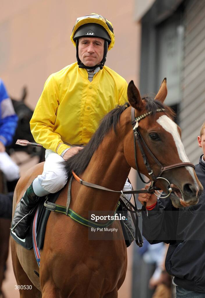 5 September 2009; Yorkshire Pearl, with John Egan up, before the Irish Independent European Breeders Fund Fillies Maiden. Leopardstown Racecourse, Dublin. Picture credit: Pat Murphy / SPORTSFILE