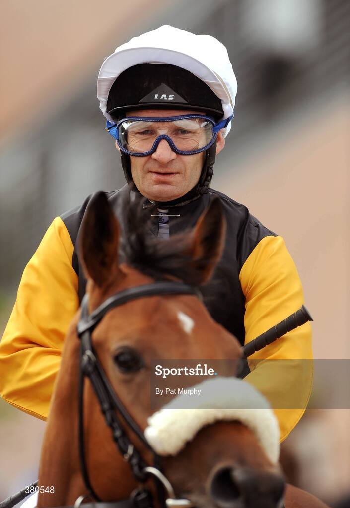 5 September 2009; Dance Beat, with Pat Shanahan up, before the Irish Independent European Breeders Fund Fillies Maiden. Leopardstown Racecourse, Dublin. Picture credit: Pat Murphy / SPORTSFILE