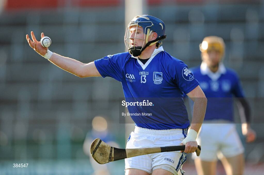1 November 2009; Ritchie Ryan, Thurles Sarsfields. AIB GAA Hurling Munster Senior Club Championship Quarter-Final, Thurles Sarsfields v Newtownshandrum, Semple Stadium, Thurles, Co. Tipperary. Picture credit: Brendan Moran / SPORTSFILE