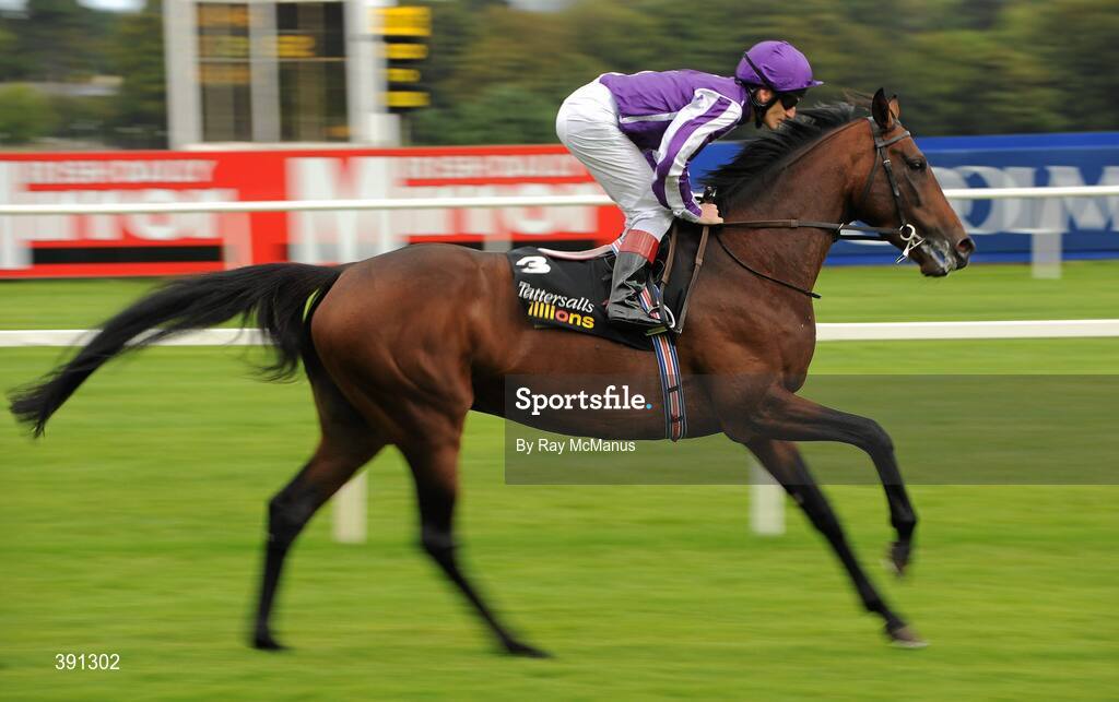 5 September 2009; Fame And Glory, with Johnny Murtagh up, canter to the start, ahead of the Tattersalls Millions Irish Champion Stakes. Leopardstown Racecourse, Dublin. Picture credit: Ray McManus / SPORTSFILE