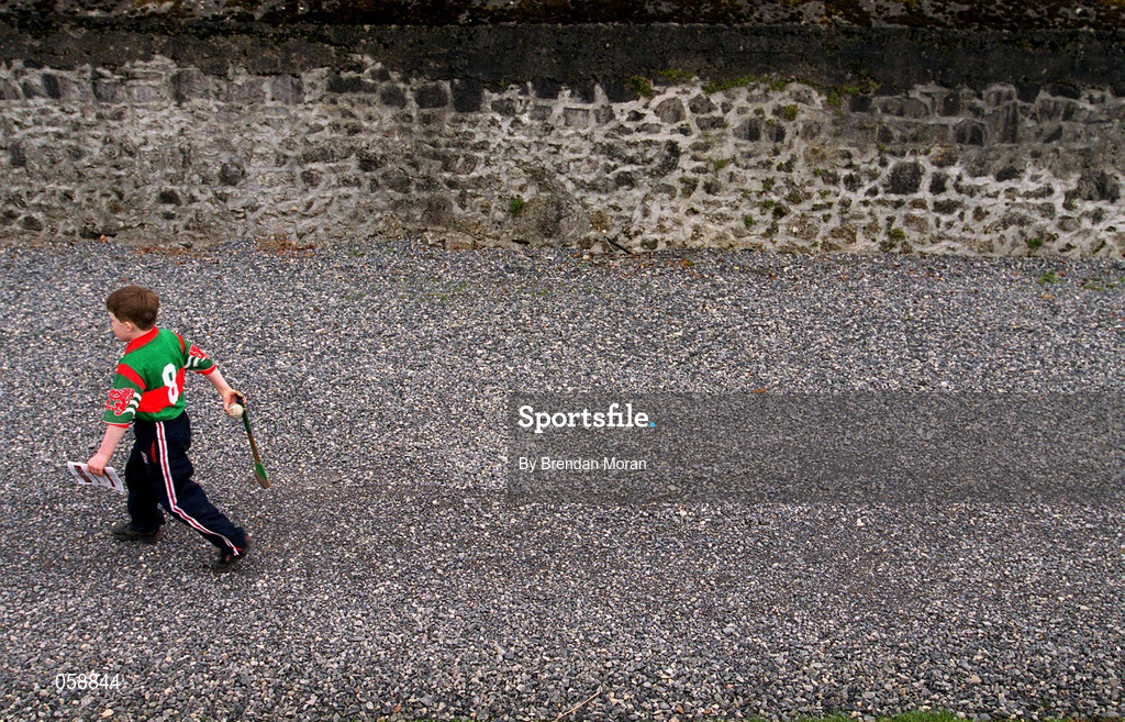 25 March 2001; A young Birr fan at the Offaly County Senior Hurling Championship Final match between Birr and Seir Kieran at St Brendan's Park in Birr, Offaly. Photo by Brendan Moran/Sportsfile