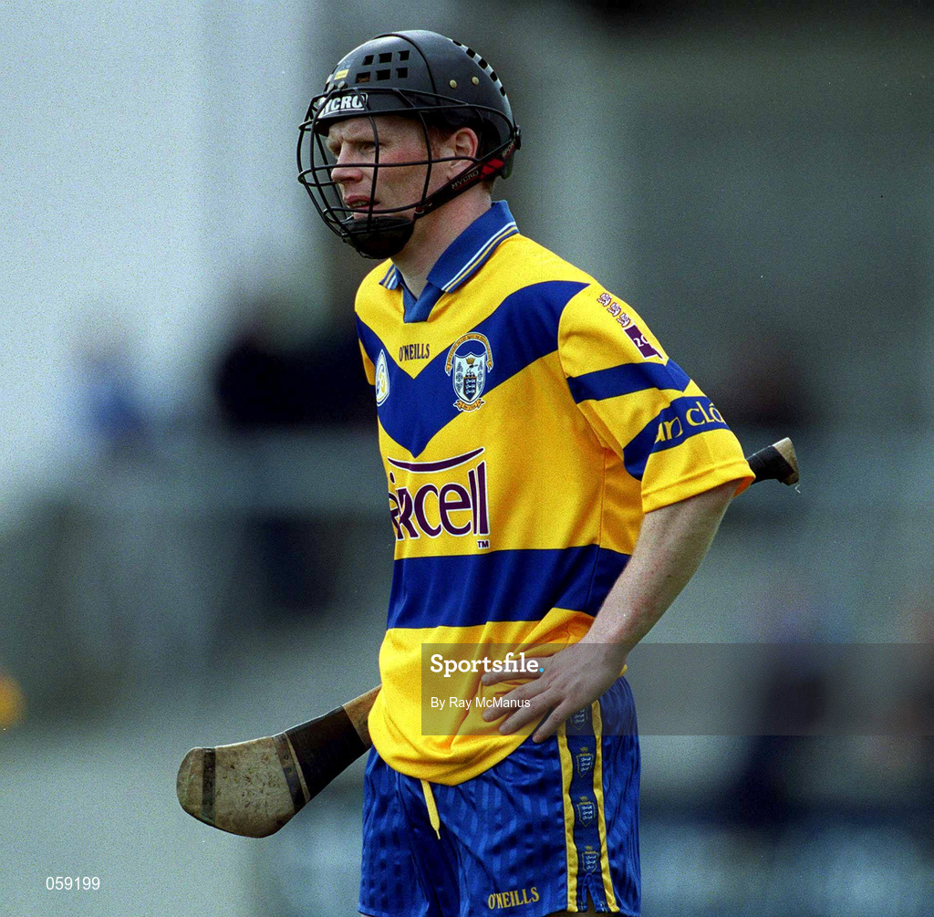 1 April 2001; Frank Lohan of Clare during the Allianz National Hurling League Division 1A match between Dublin and Clare at Parnell Park in Dublin. Photo by Ray McManus/Sportsfile