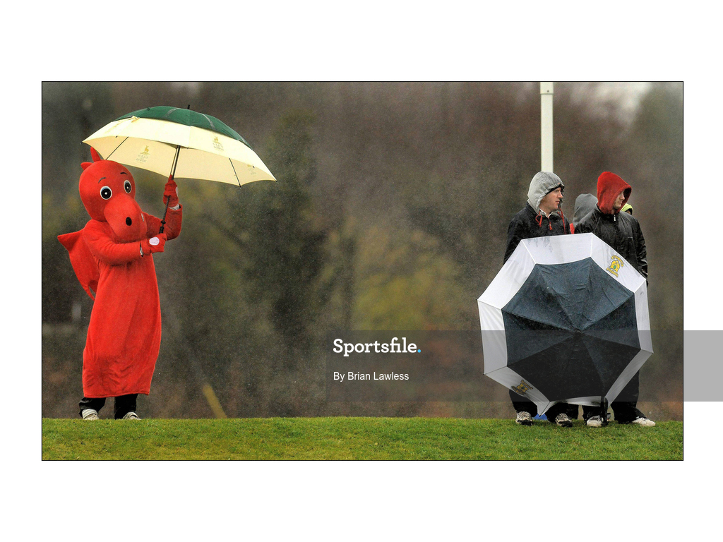 14 January 2009; Wesley College rugby fans including their mascot watch on during the match despite the bad weather. Leinster Schools Vinnie Murray Senior Cup First Round - Section B, Newpark v Wesley College, Kiltiernan, Co. Dublin. Picture credit: Brian Lawless / SPORTSFILE