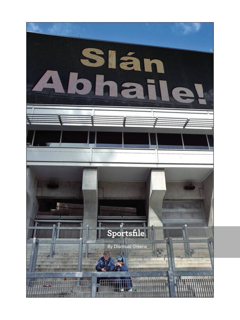 3 August 2009; Two Dublin supporters sit on Hill 16 after the game. GAA Football All-Ireland Senior Championship Quarter-Final, Dublin v Kerry, Croke Park, Dublin. Picture credit: Diarmuid Greene / SPORTSFILE